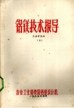 铝镁技术指导 光卤石脱水 3