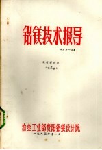 铝镁技术指导 光卤石脱水 第2集