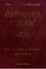 城郊型乡镇企业的“二次创业”