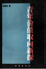 青年价值取向新探