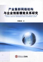 产业集群网络结构与企业创新绩效关系研究