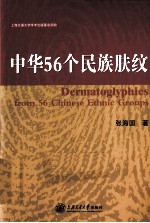 中华56个民族肤纹