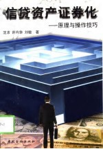 信贷资产证券化 原理与操作技巧