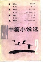 1984年中篇小说选 第2辑