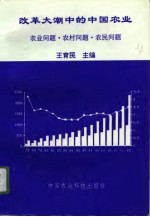 改革大潮中的中国农业 农业问题·农村问题·农民问题