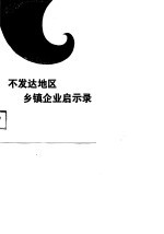 不发达地区乡镇企业启示录