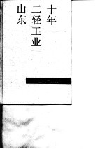 山东二轻工业十年 1979-1988
