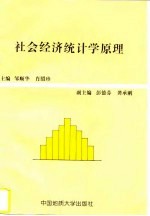 社会经济统计学原理