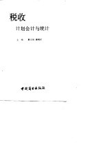 税收计划会计与统计