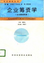 企业筹资学 企业融资实务