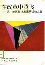 在改革中腾飞 滇中地区经济发展研讨论文集