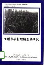 玉溪市农村经济发展研究