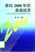 奔向2000年的县级经济 泸州市发展县级经济调研与思考