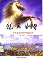 龙马风骨 柳州市企业改革创业纪实