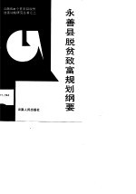 永善县脱贫致富规划纲要