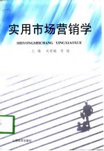 实用市场营销学