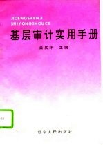 基层审计实用手册