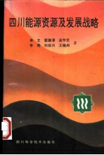 四川能源资源及发展战略