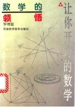 数学的领悟