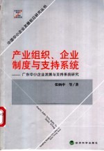 产业组织、企业制度与支持系统 广东中小企业发展与支持系统研究