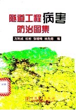 隧道工程病害防治图集