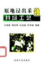 原地浸出采铀井场工艺