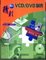 精彩DIY VCD/DVD制作