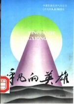 平凡的英雄