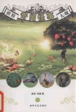 世界奇闻怪事大观 2