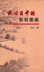 我心目中的农村能源
