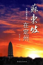 苏东坡在定州 历史叙事文学