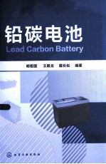 铅碳电池