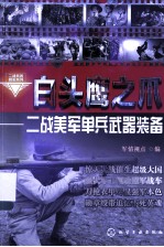 白头鹰之爪 二战美军单兵武器装备