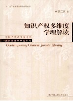 知识产权多维度学理解读