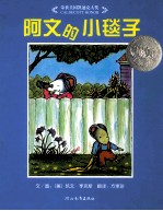 阿文的小毯子