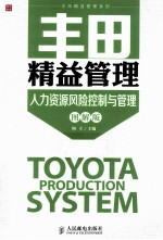 人力资源风险控制与管理 图解版
