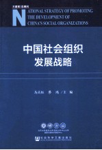 中国社会组织发展战略