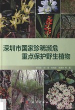 深圳市国家珍稀濒危重点保护野生植物