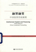 融智融资 中国投资咨询案例