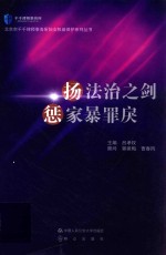 扬法治之剑 惩家暴罪戾
