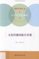 文化传播的媒介景观