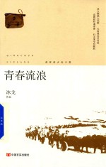青春流浪