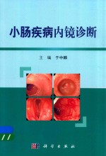 小肠疾病内镜诊断