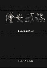 隆安县志