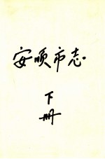 安顺市志 下