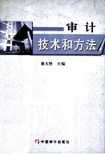 审计技术和方法