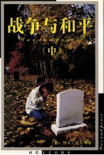 战争与和平 中