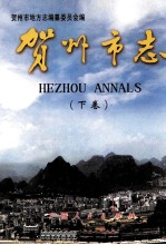 贺州市志 下