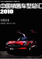 2010中国销售车型总汇