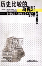 历史比较的新视野 “中西历史比较研究学术论坛”论文集